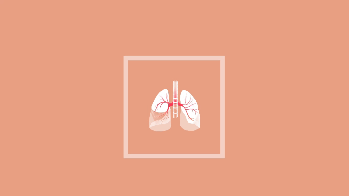 GIF Animation