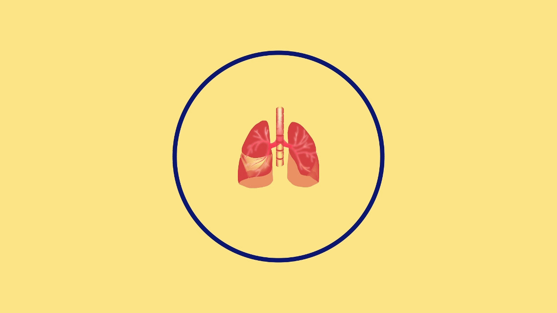 GIF Animation